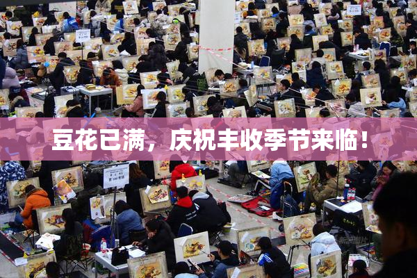 豆花已满，庆祝丰收季节来临！