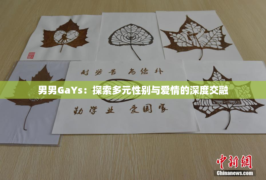 男男GaYs：探索多元性别与爱情的深度交融