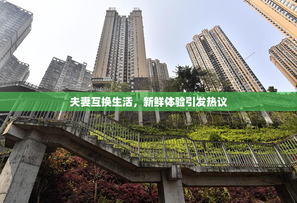 夫妻互换生活，新鲜体验引发热议