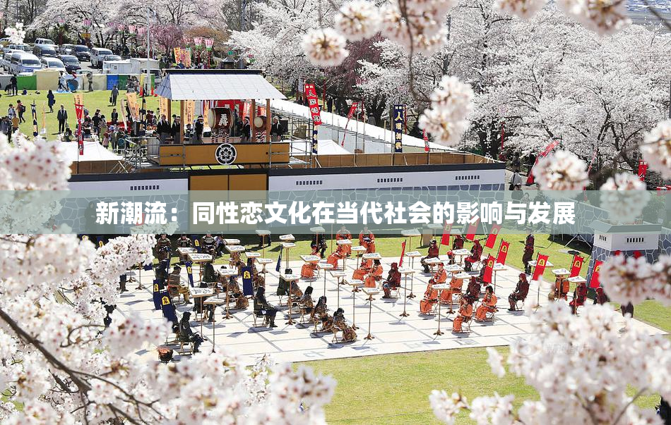新潮流：同性恋文化在当代社会的影响与发展