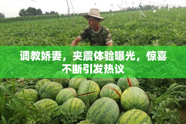 调教娇妻，夹震体验曝光，惊喜不断引发热议
