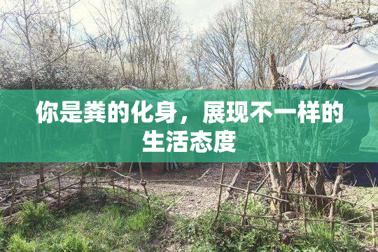 你是粪的化身，展现不一样的生活态度