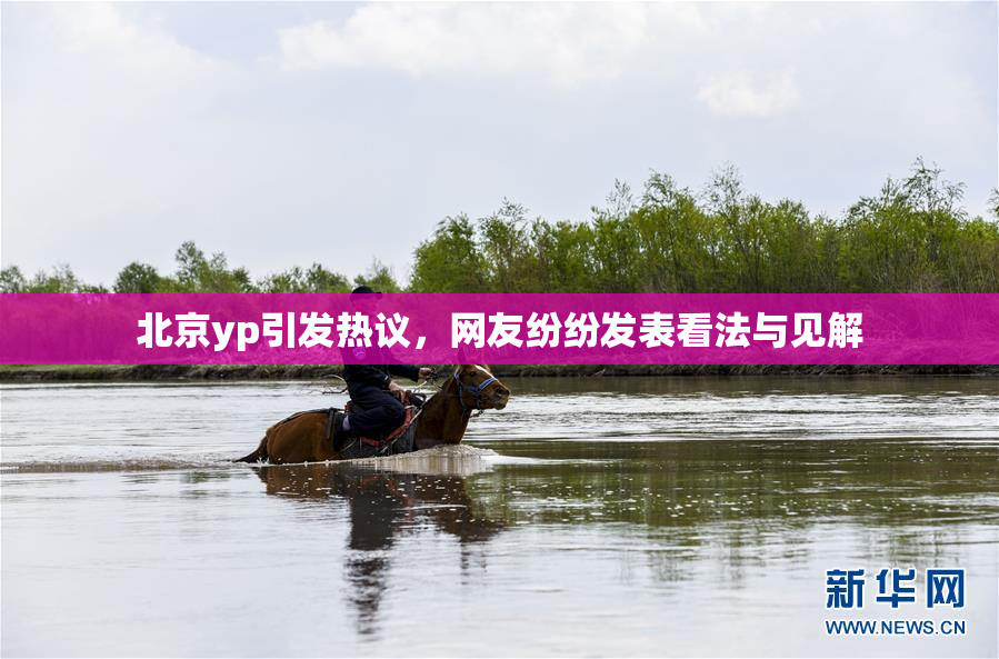 北京yp引发热议，网友纷纷发表看法与见解