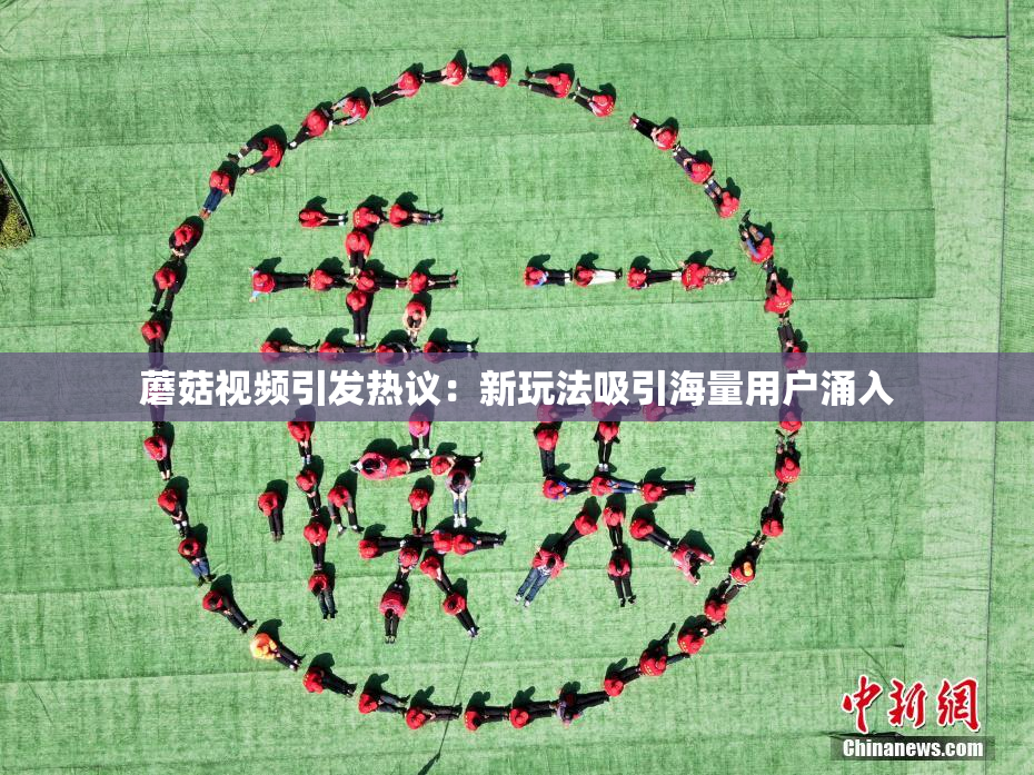 蘑菇视频引发热议：新玩法吸引海量用户涌入