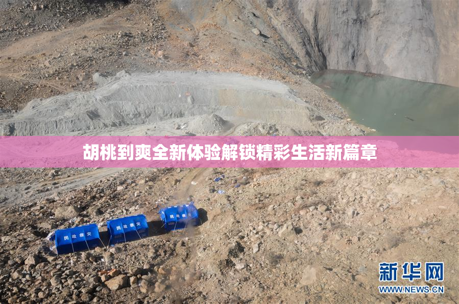 胡桃到爽全新体验解锁精彩生活新篇章