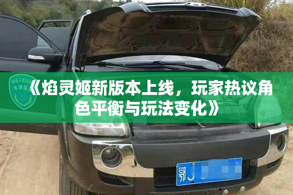 《焰灵姬新版本上线，玩家热议角色平衡与玩法变化》