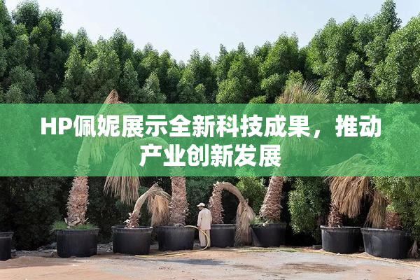 HP佩妮展示全新科技成果，推动产业创新发展