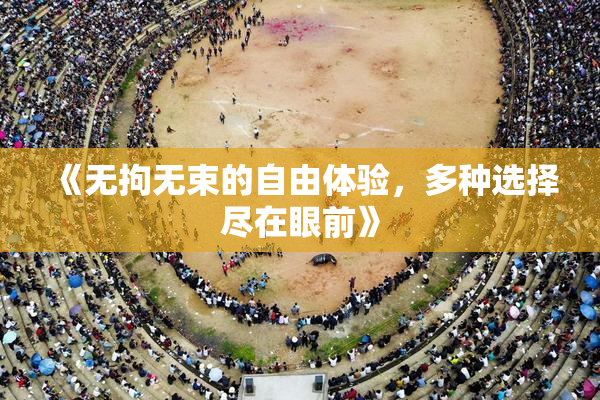 《无拘无束的自由体验，多种选择尽在眼前》