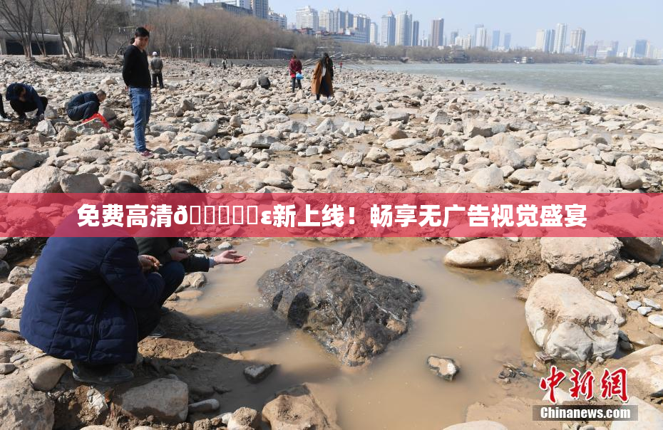 免费高清🔞❌‌ε新上线！畅享无广告视觉盛宴