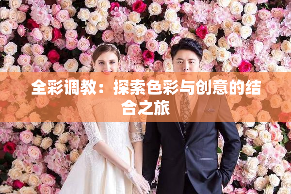 全彩调教：探索色彩与创意的结合之旅