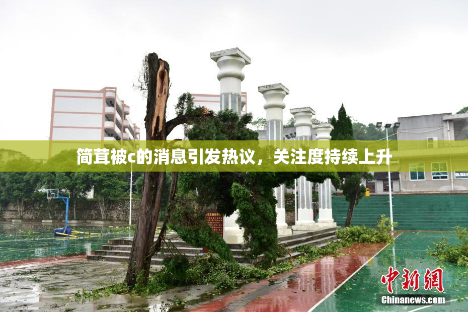 简茸被c的消息引发热议，关注度持续上升