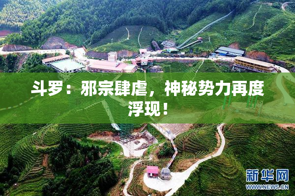 斗罗：邪宗肆虐，神秘势力再度浮现！