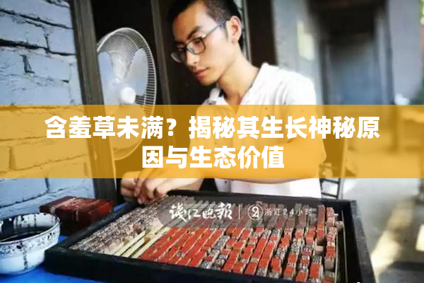 含羞草未满？揭秘其生长神秘原因与生态价值