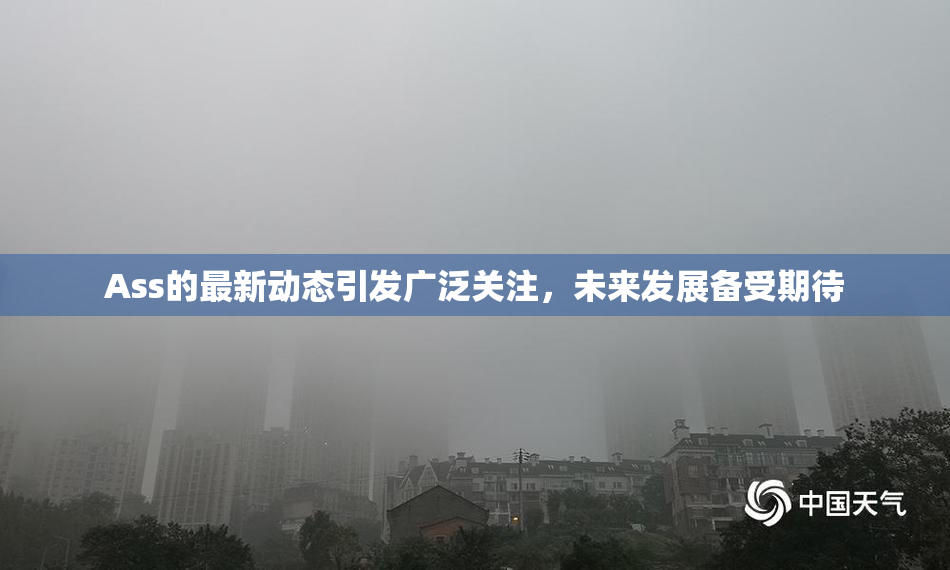 Ass的最新动态引发广泛关注，未来发展备受期待