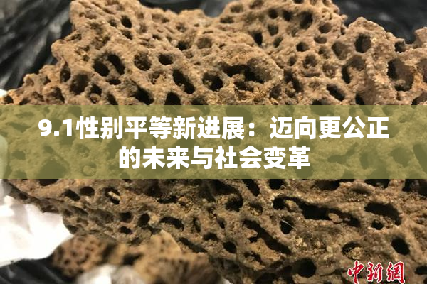 9.1性别平等新进展：迈向更公正的未来与社会变革