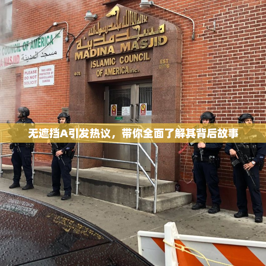 无遮挡A引发热议，带你全面了解其背后故事