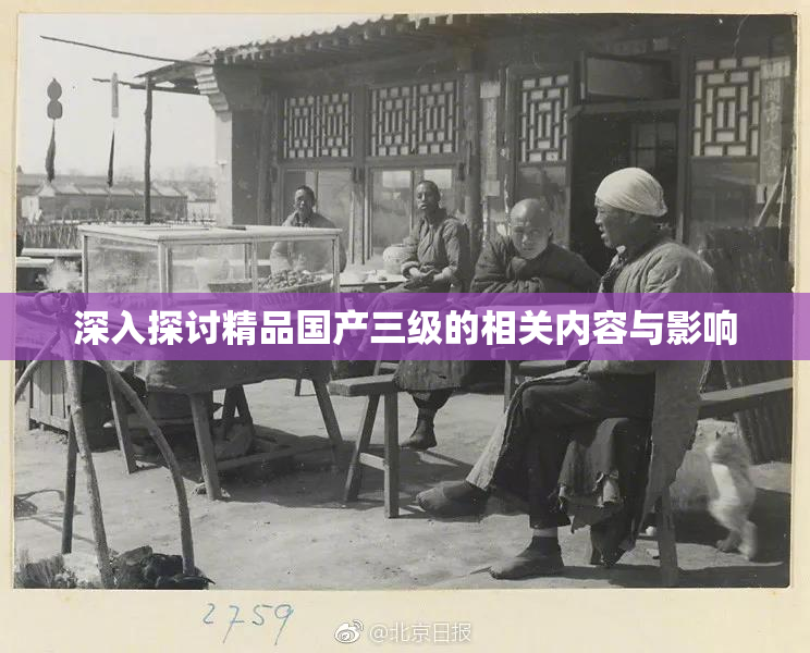 深入探讨精品国产三级的相关内容与影响