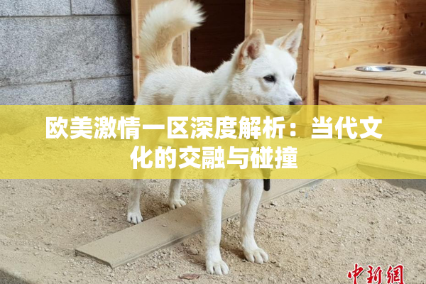 欧美激情一区深度解析：当代文化的交融与碰撞