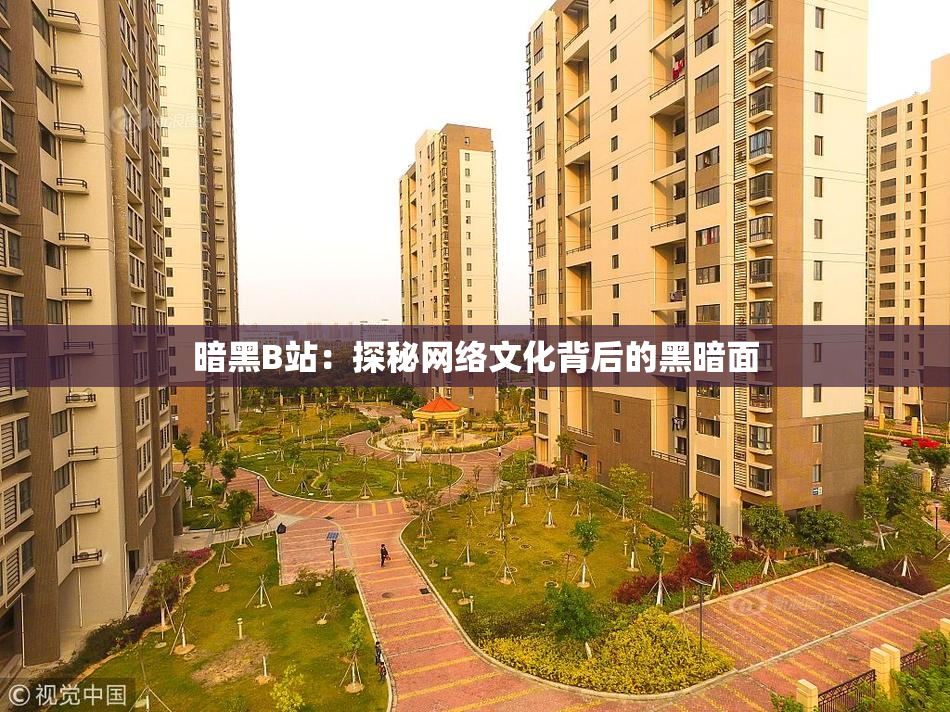 暗黑B站：探秘网络文化背后的黑暗面