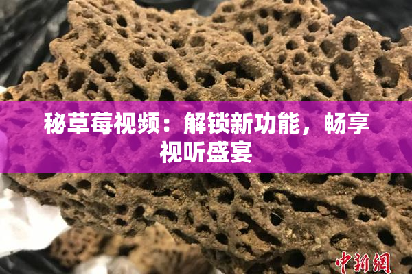 秘草莓视频：解锁新功能，畅享视听盛宴