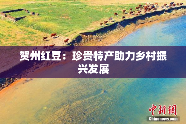 贺州红豆：珍贵特产助力乡村振兴发展