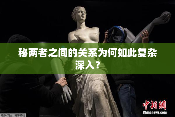 秘两者之间的关系为何如此复杂深入？