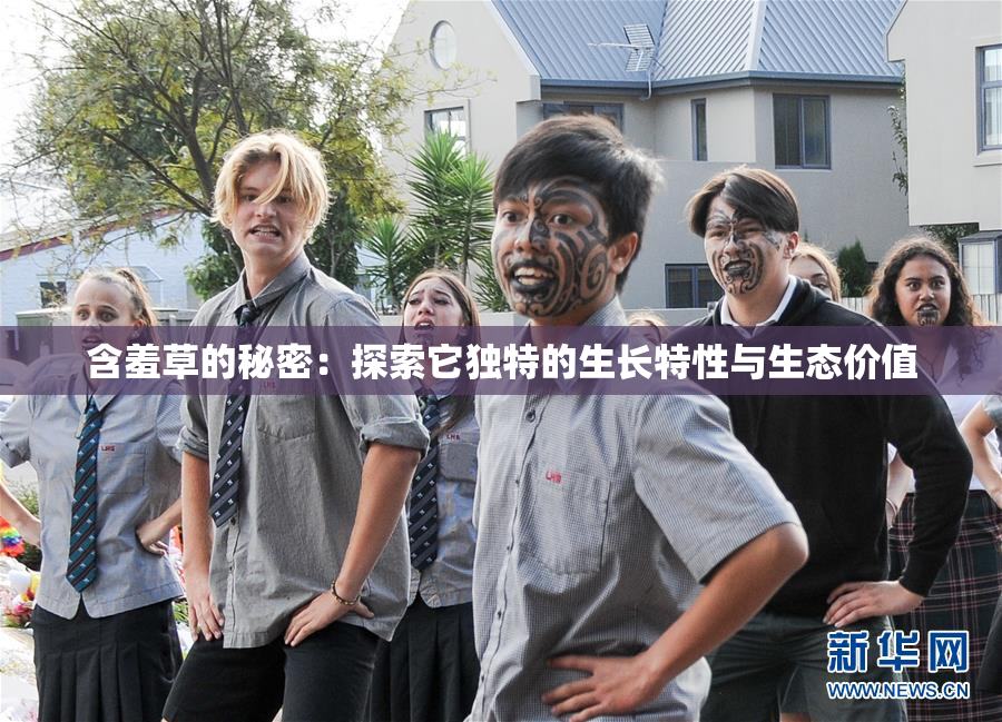 含羞草的秘密：探索它独特的生长特性与生态价值