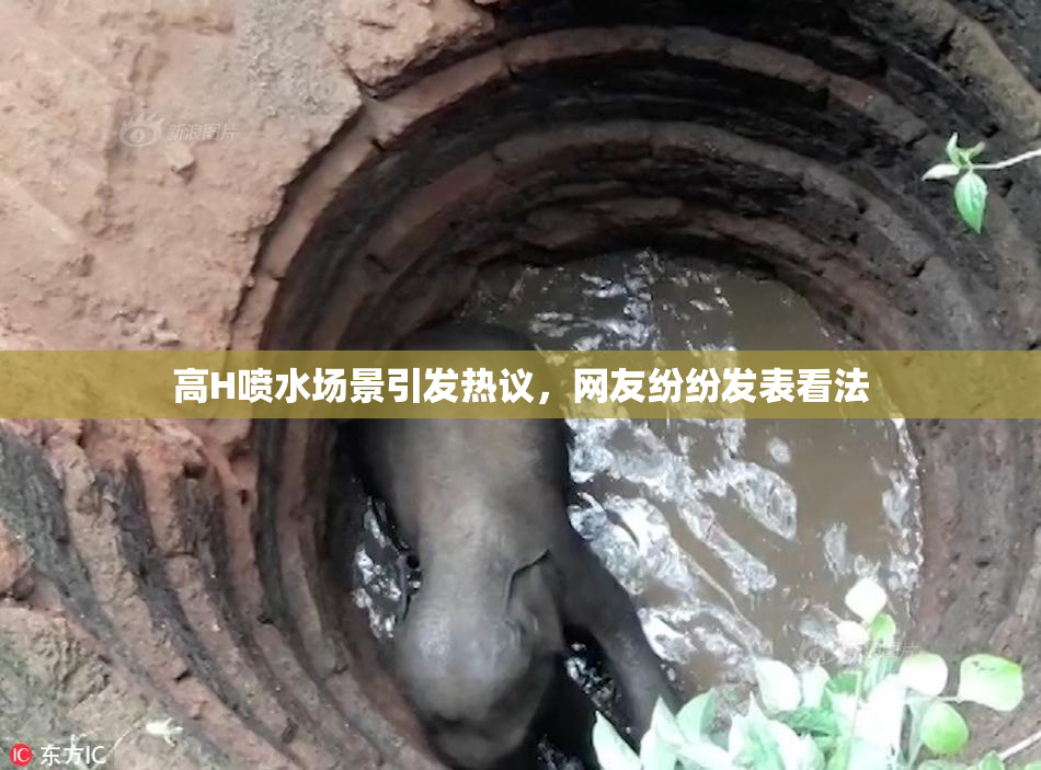 高H喷水场景引发热议，网友纷纷发表看法