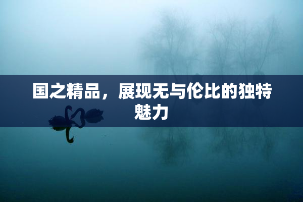 国之精品，展现无与伦比的独特魅力