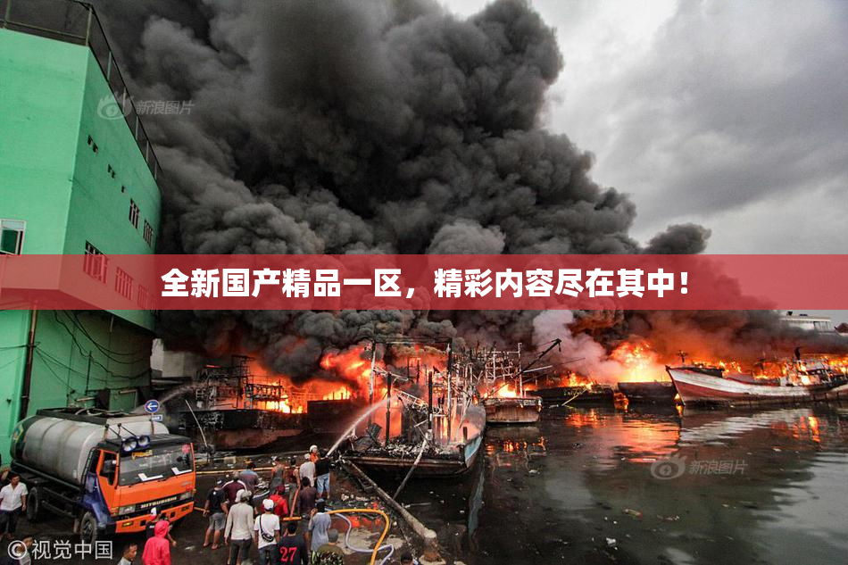 全新国产精品一区，精彩内容尽在其中！