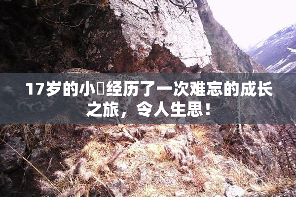 17岁的小泬经历了一次难忘的成长之旅，令人生思！