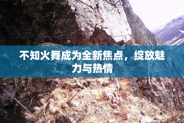 不知火舞成为全新焦点，绽放魅力与热情