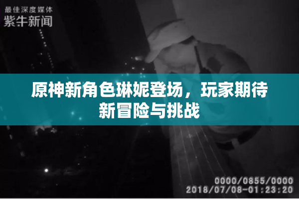 原神新角色琳妮登场，玩家期待新冒险与挑战