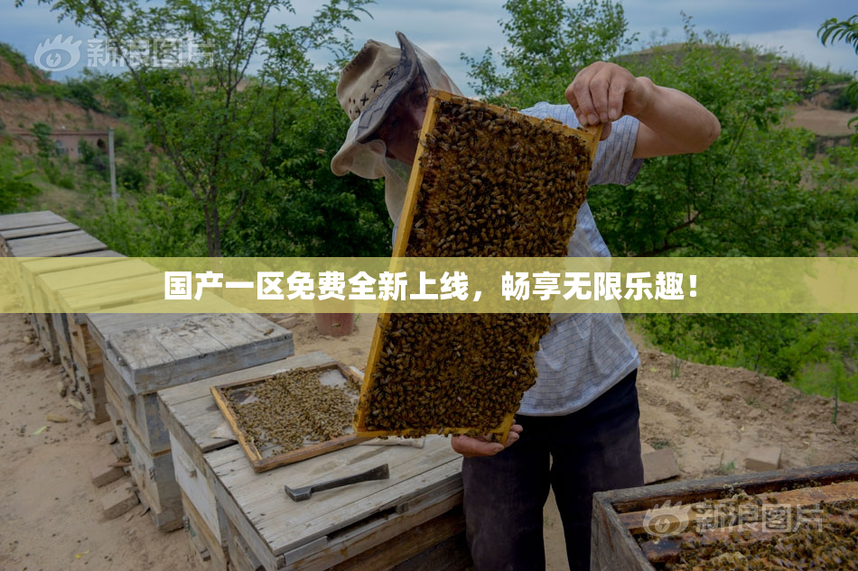 国产一区免费全新上线，畅享无限乐趣！