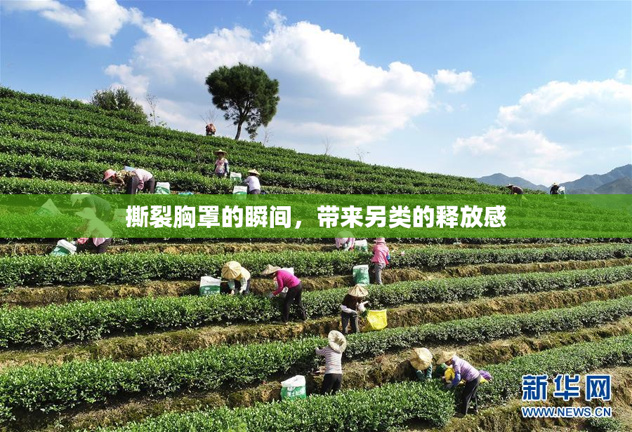 撕裂胸罩的瞬间，带来另类的释放感