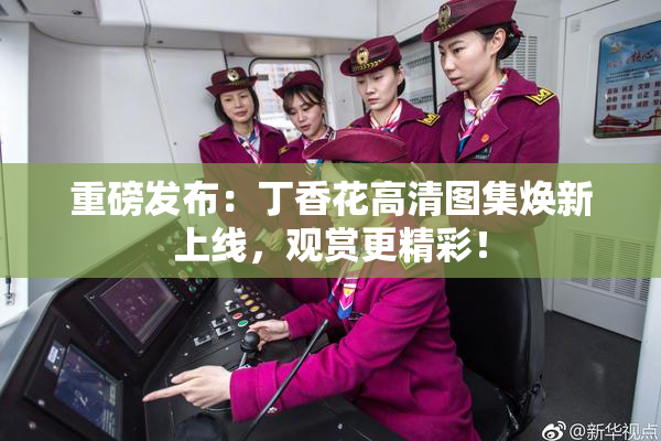 重磅发布：丁香花高清图集焕新上线，观赏更精彩！