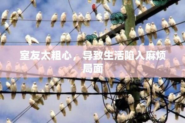 室友太粗心，导致生活陷入麻烦局面