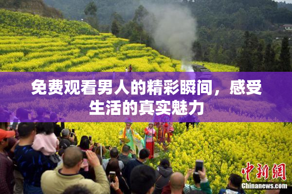 免费观看男人的精彩瞬间，感受生活的真实魅力