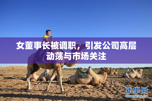 女董事长被调职，引发公司高层动荡与市场关注
