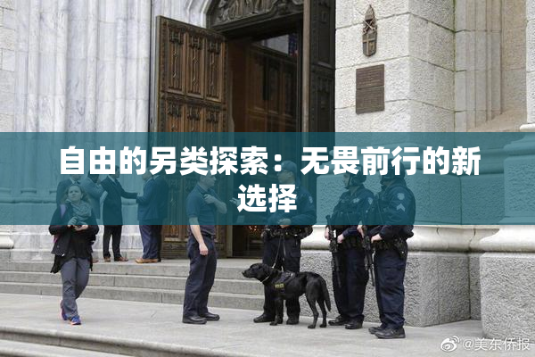 自由的另类探索：无畏前行的新选择