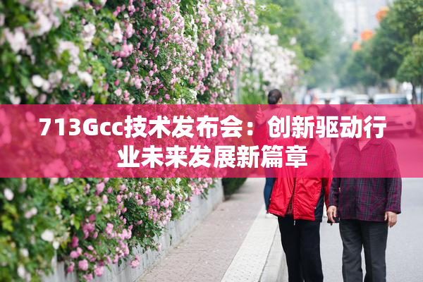 713Gcc技术发布会：创新驱动行业未来发展新篇章