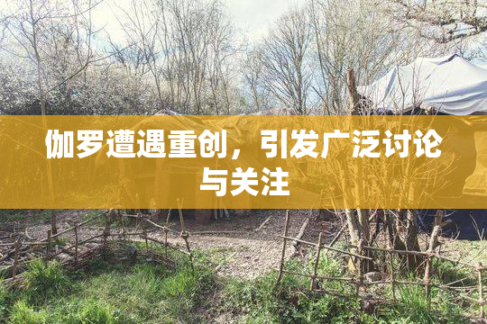伽罗遭遇重创，引发广泛讨论与关注