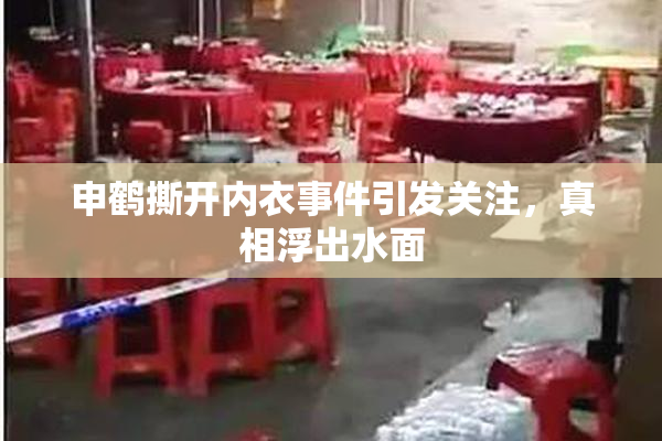 申鹤撕开内衣事件引发关注，真相浮出水面