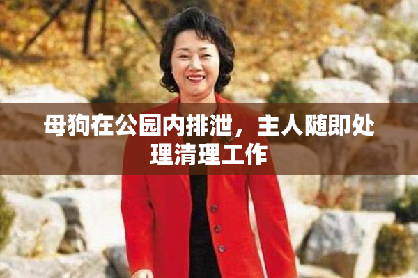 母狗在公园内排泄，主人随即处理清理工作