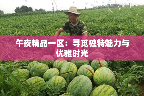 午夜精品一区：寻觅独特魅力与优雅时光