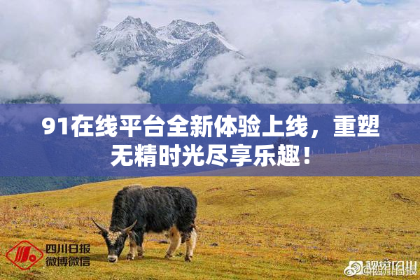 91在线平台全新体验上线，重塑无精时光尽享乐趣！
