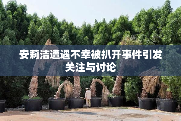 安莉洁遭遇不幸被扒开事件引发关注与讨论