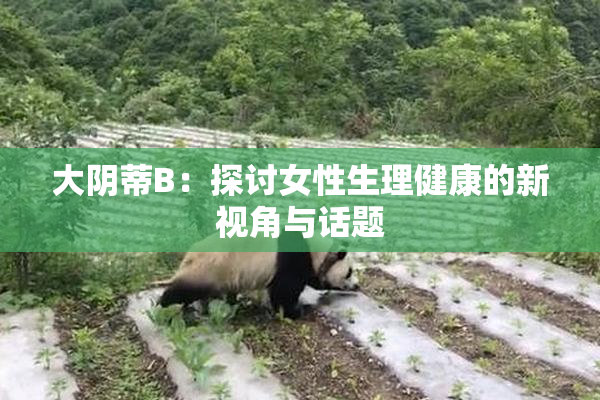 大阴蒂B：探讨女性生理健康的新视角与话题