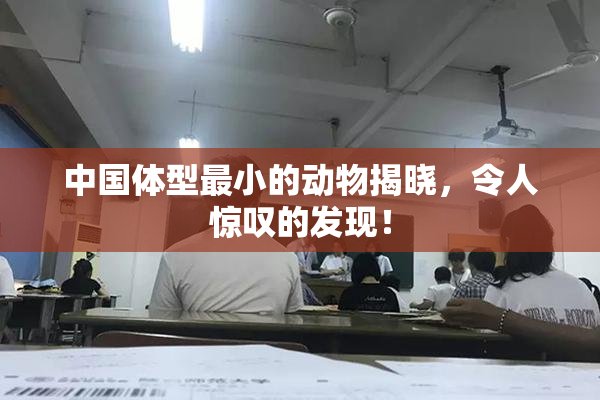 中国体型最小的动物揭晓，令人惊叹的发现！