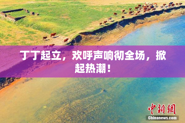 丁丁起立，欢呼声响彻全场，掀起热潮！